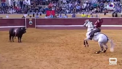 Lea Vicens - Тореадорка като модел
