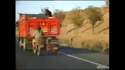 Крадене на овца от камион по време на движение