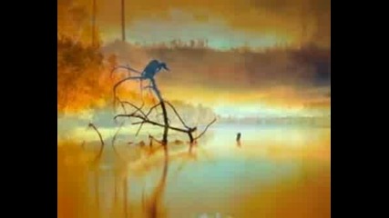 A Dream Within A Dream - Edgar Allan Poe