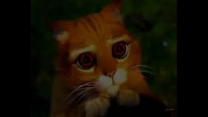 Mangekou Sharingan Cat Version