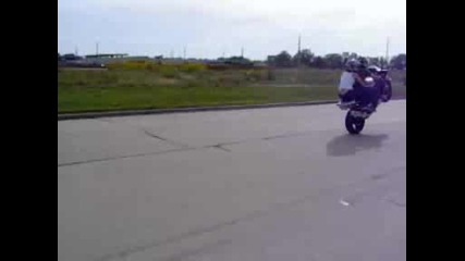 Yamaha Yzf R1 1000 2002 Wheelie