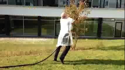 Танцът на бактериите