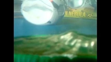 Sea monkeys (m.xlr.music)