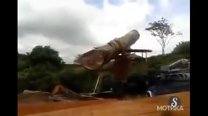 Как е възможно един бразилец сам-самичък да вдигне такова огромно дърво!? Не е за вярване!