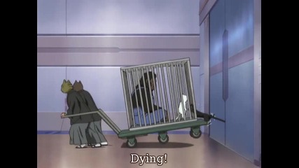 Gintama - Episode 191