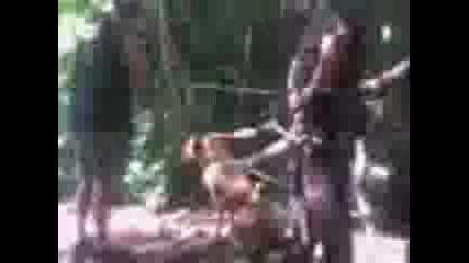 Видео0006