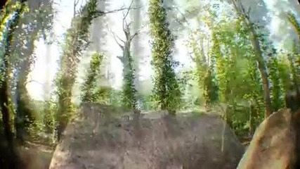 Derelict Bmx Spring