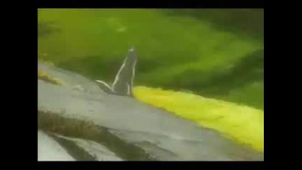 Wolfs Rain - Supersonic Speed