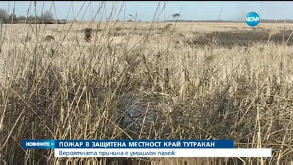 Пожар край Тутракан