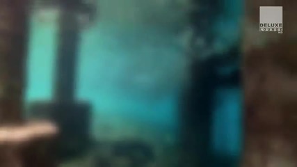 Водния свят от близо