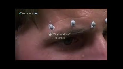 discovery.channel