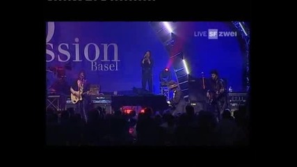Zucchero - Everybodys Gotta Learn Sometime - Live