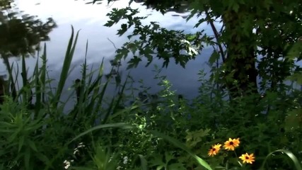 The Green Leaves of Summer - Ennio Morricone - Zelenыe listyia leta