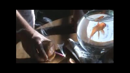 101 Ways to Make Fire - #9 Fido the Fish