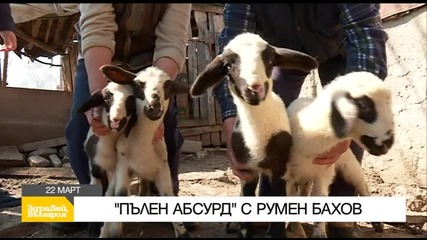 В „Здравей, България” на 22 март очаквайте