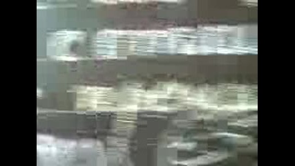 с.градец-видинско-лято 2007