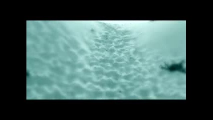 Tetiva - Корабли