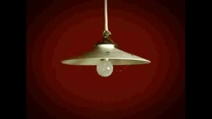 Minuscule Flys with spaghetti