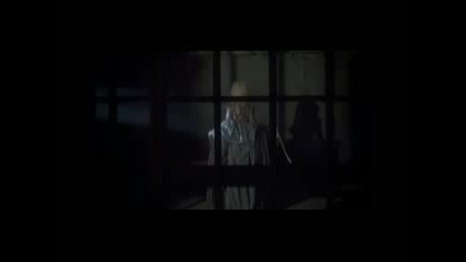 kamelia - falshiva kojaa