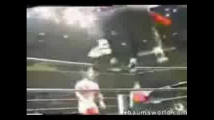 Wwe Грешки В Кеча