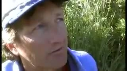 How to stop a bear attack and how to talk to bears - Bear Whisperer - Bbc animals 