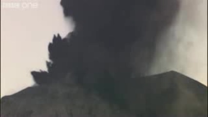 Wildebeast return to grassland plains - Natures Great Events: The Great Migration