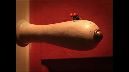 Minuscule - Dvd4 - Part08