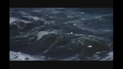 Jonathan Livingston Seagull - Skybird 