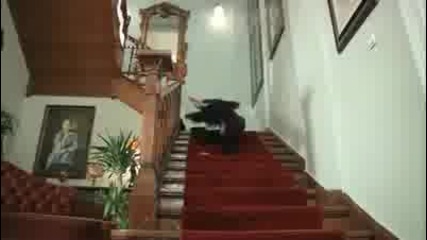 Aski memnu 73.bolum fragmani 