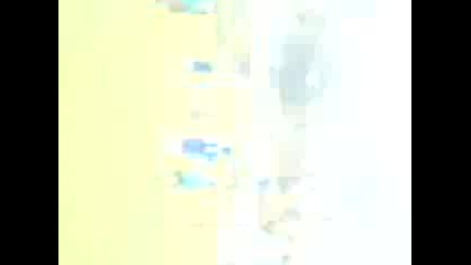 Видео0019 