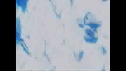 Ichigo vs Hollow Ichigo 