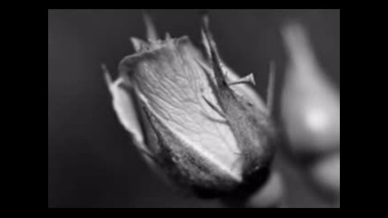 John Rowles - One Day
