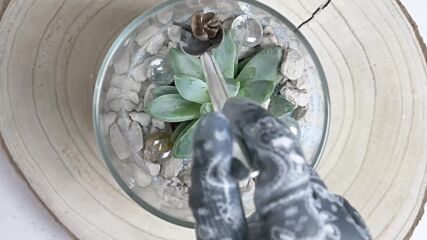 Artsy terrariums: Sand art