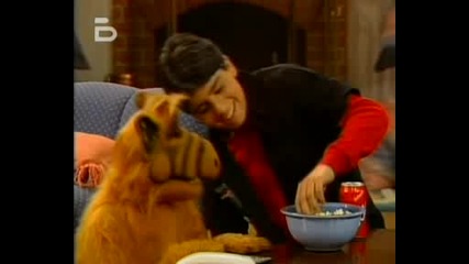 Alf.s03e19.bg Audio