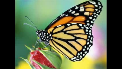 Khadijas favorit trance chillout music Uranus - Constellations 