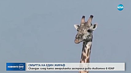Новините на NOVA (04.07.2018 - 8.00 ч.)