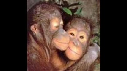 Friends Forever