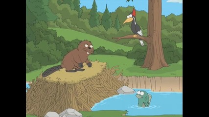 Beavers - Assholes Of The Forest 