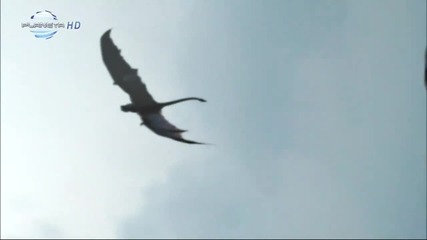 Ани Хоанг - Не вярвам - Planeta H D