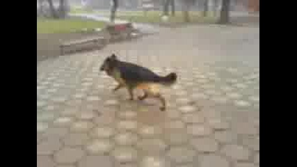 Mov00002 (1).3gp