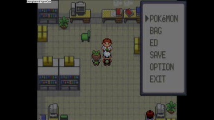 Pokemon Emerald