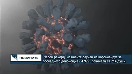 "Черен рекорд" на новите случаи на коронавирус за последното денонощие - 4 979, починали са 214 души