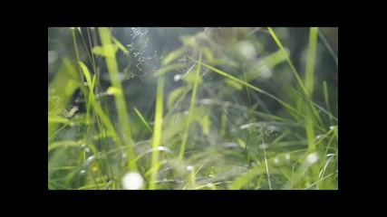 Jane Maximova - Skiff (escape With Sax Remix)