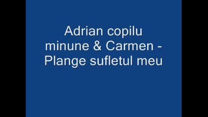 Adrian Copilu Minune & Carmen - Plange sufletul meu