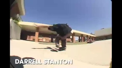 Element Skateboarding 