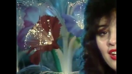 Dragana Mirkovic i Juzni Vetar - Nema srece bez tebe (official Video)