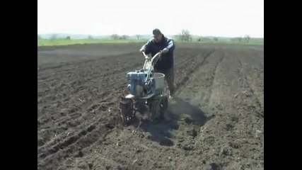 Как се сеят картофи в Русия!