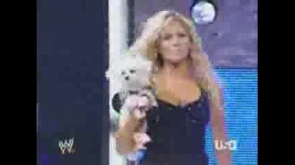 Torrie Wilson Tribute