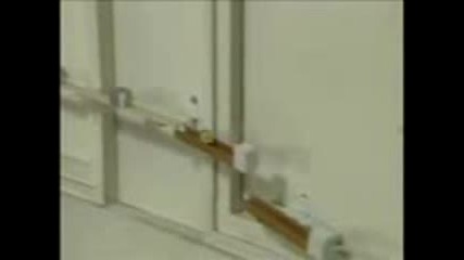 eto dova e domino