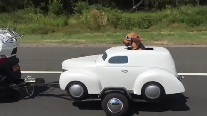 Куче със собствено возило